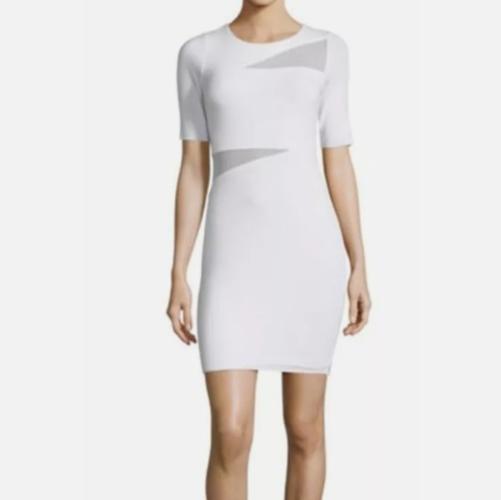 Bailey 44 Vanishing‎ Point Mesh Panel Dress